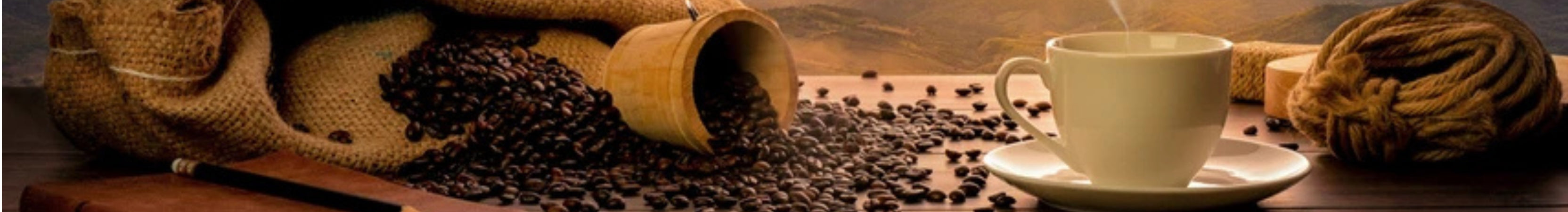 collection-banner-image